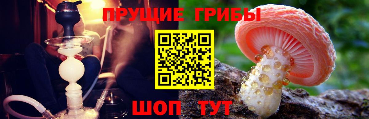 Псилоцибиновые грибы Magic Shrooms Магадан